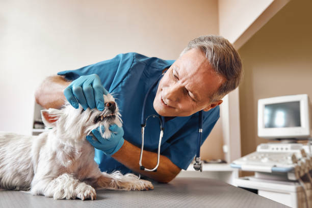 Best Emergency Root Canal Treatment in Diand, MO